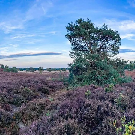 In Near Veluwe Park, Cleaning Included